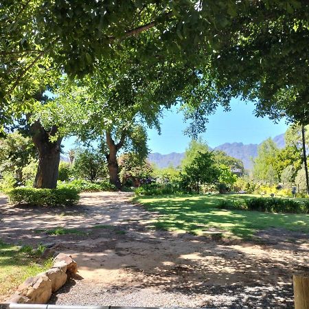 Olive And Vine Farm Cottage 프란쉬후크 외부 사진