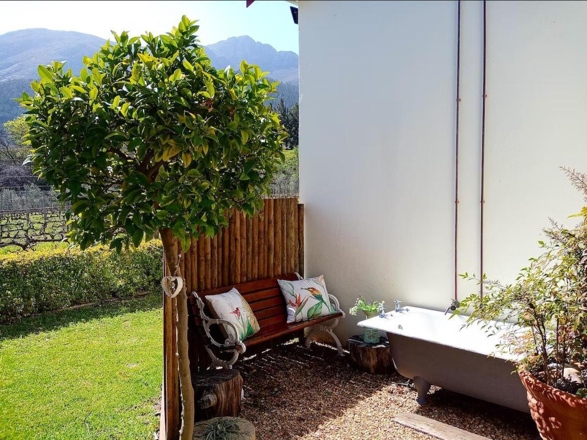 Olive And Vine Farm Cottage 프란쉬후크 객실 사진