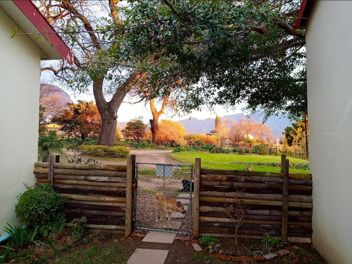 Olive And Vine Farm Cottage 프란쉬후크 객실 사진